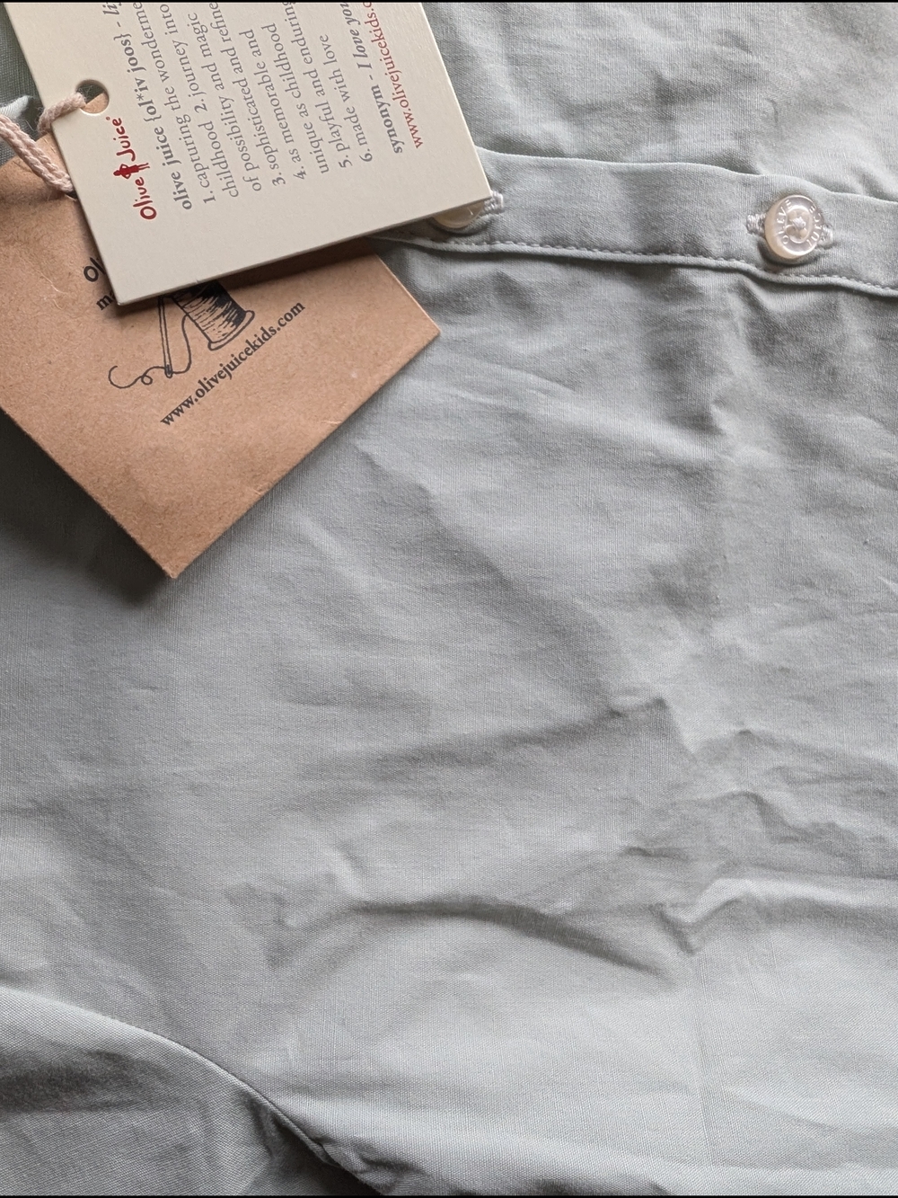 Boutique Button-Down Shirt with Peter Pan Collar - Light Sage - Picture 7 of 7